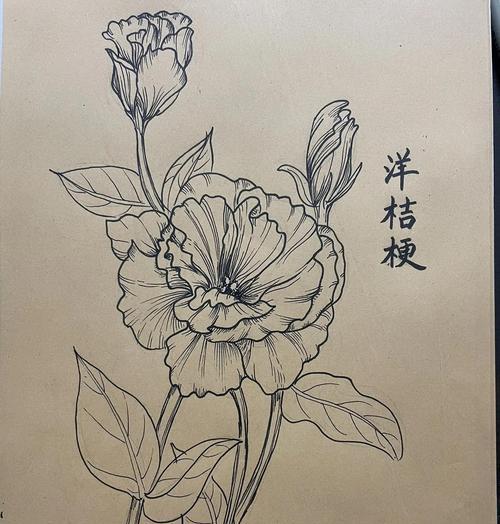 25朵洋桔梗的花语含义是什么？代表了什么情感？
