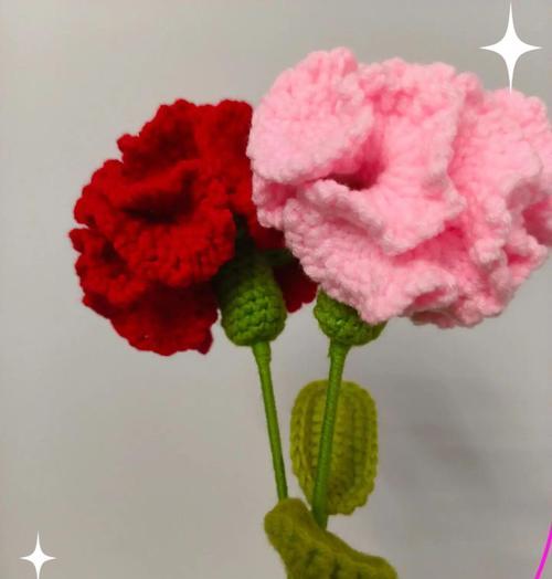 康乃馨花语有何特别含义？