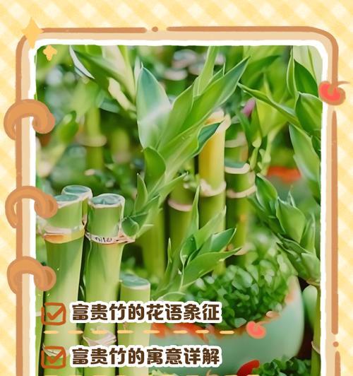 花语的形成受哪些因素影响？