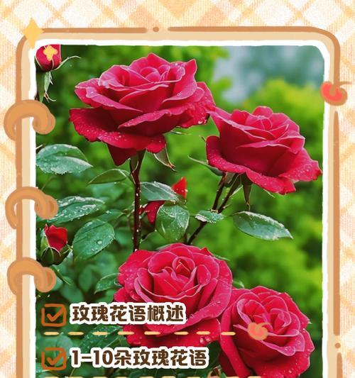 每种花朵的花语有何不同？了解花语的含义是什么？