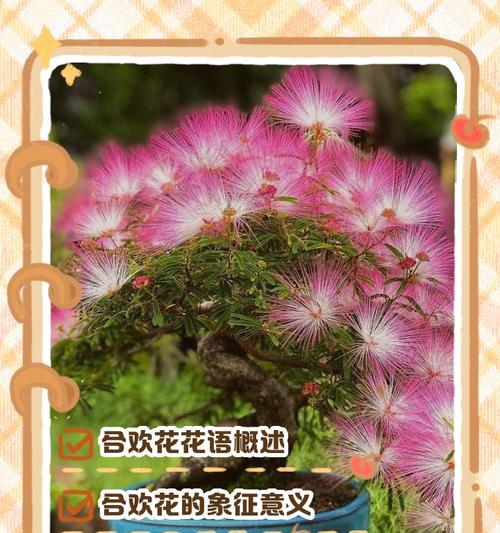 每种花朵的花语有何不同？了解花语的含义是什么？