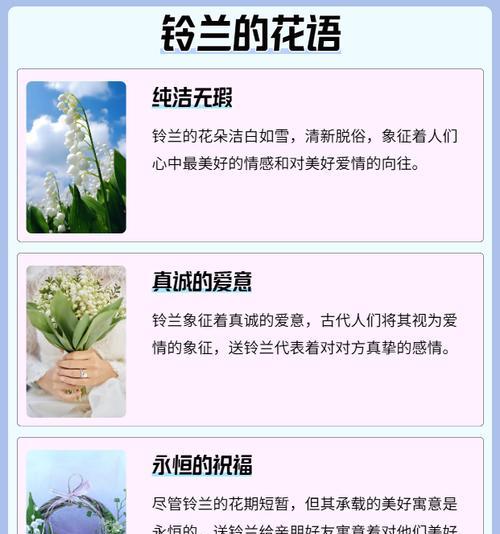 潇洒真诚的花语是什么？它传达了哪些情感？