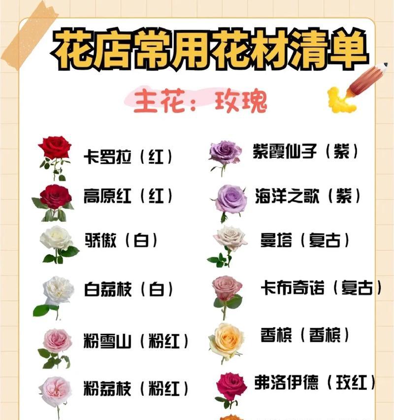 宜享花种草有哪些净化空气的小能手？新手养护零压力怎么做到？