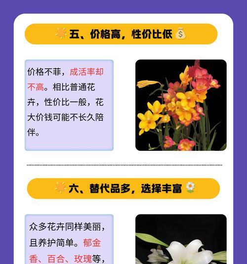 香雪兰的种植方法是什么？需要注意什么？