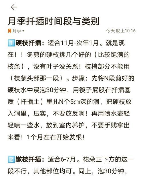秋季如何进行扦插育苗？无性繁殖技术要点是什么？