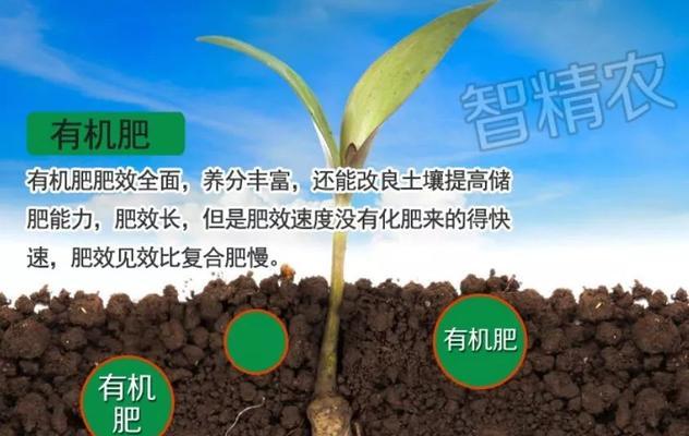 非洲茉莉施肥指南是什么？复合肥用量如何确定？
