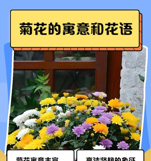 99种花语大全在哪里可以找到？每种花的寓意是什么？