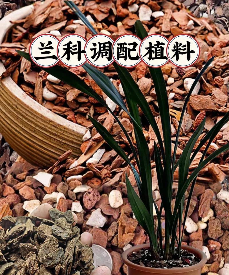 兰草怎么养？对土壤有什么要求？