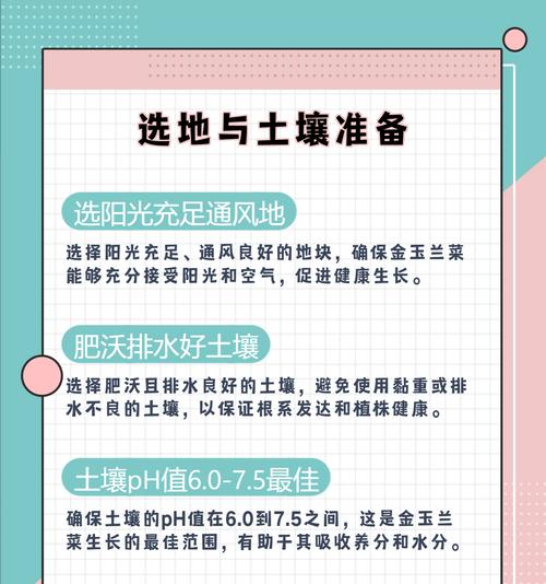 金玉兰菜怎么种？最佳种植时间是什么时候？