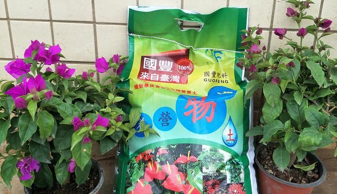 花卉盆栽土壤怎么选？使用技巧有哪些？