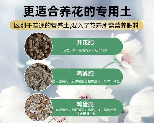花卉盆栽土壤怎么选？使用技巧有哪些？