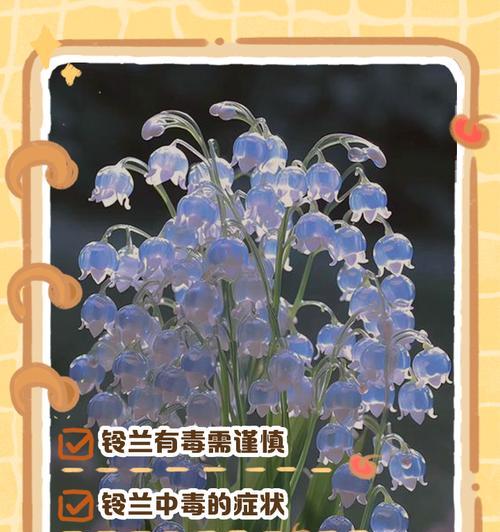 铃兰怎么养？养殖过程中需要注意什么？