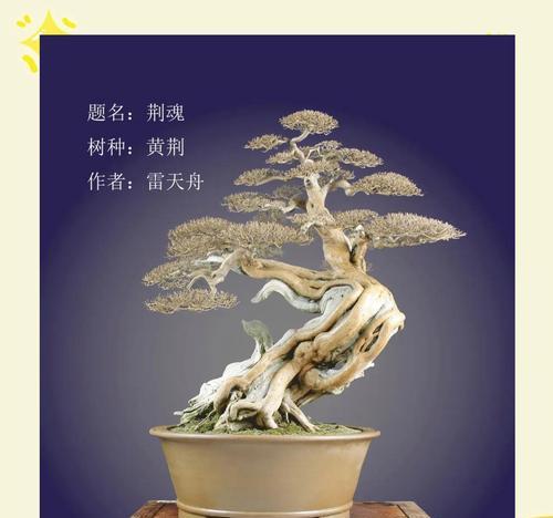 黄荆几月份可以扦插？扦插黄荆的最佳时间是什么时候？