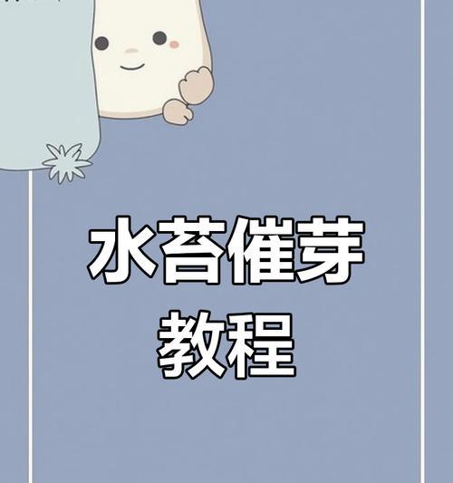 种子催芽方法及注意事项是什么？如何正确进行种子催芽？