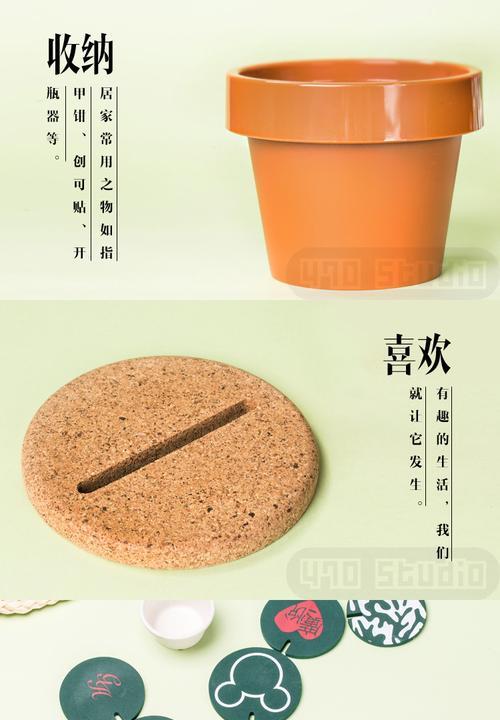 盆栽杯垫仙人掌的正确养护方法是什么？