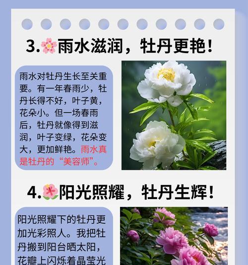 牡丹花种子繁殖可行吗？原因是什么？