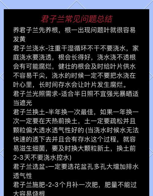 两盆君子兰的养护方法是什么？