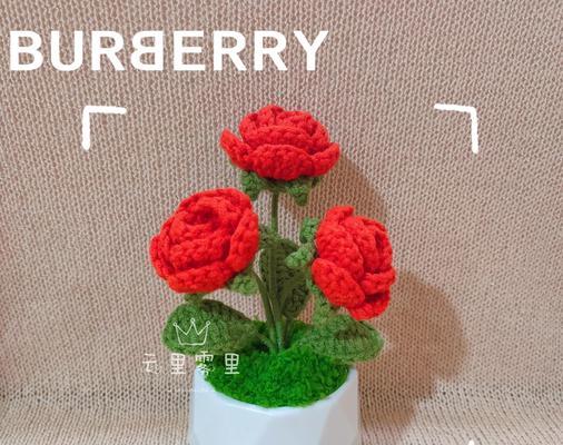 玫瑰花芽的培养方法和注意事项是什么？