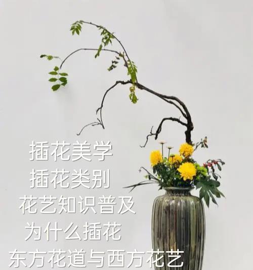 玫瑰花插花技巧有哪些？怎样插出美感？
