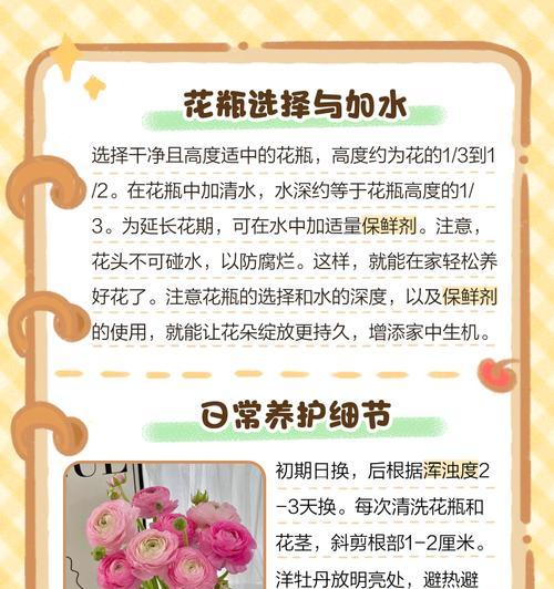 打包牡丹花的养护小技巧有哪些？