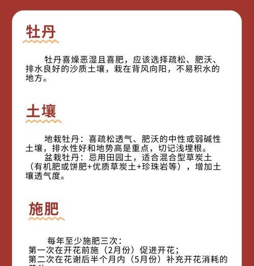 打包牡丹花的养护小技巧有哪些？