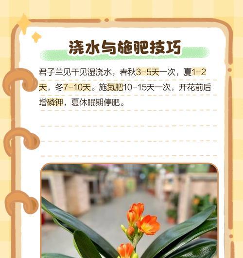 四类君子兰的养护技巧有哪些？