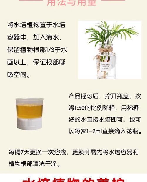 袖珍椰子的花语有哪些含义？