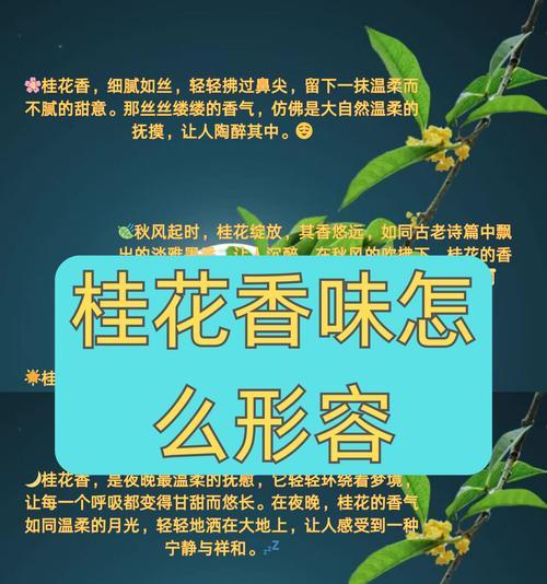 桂花的花语及其在中国文化中的象征是什么？
