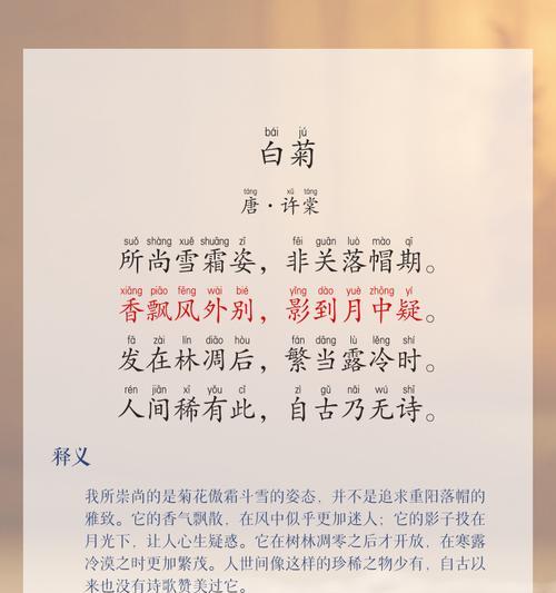 白色小菊花的花语是什么？象征意义？