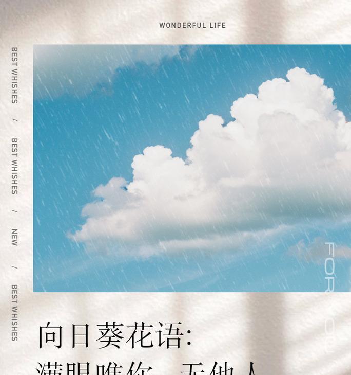 向日葵籽的花语有哪些？它代表了什么寓意？