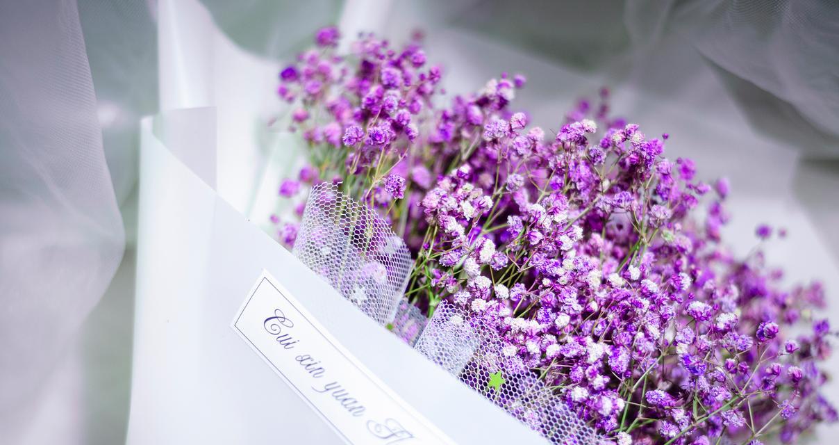 紫色报春花的花语是什么？它传递了什么信息？