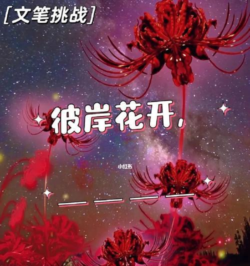 彼岸花鲜花的花语有哪些？它为何如此特别？