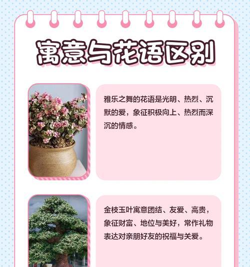 金技玉叶的花语有哪些含义？