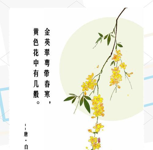 迎春花的花语标语有哪些？
