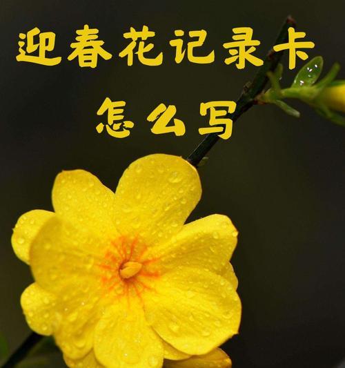 迎春花的花语标语有哪些？