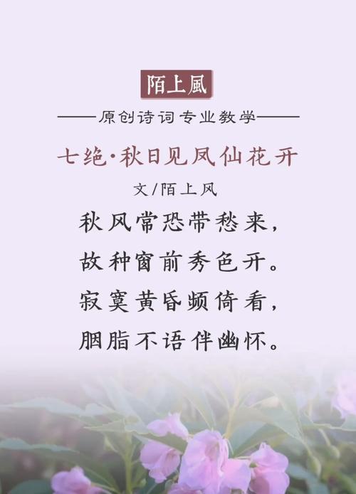 洋凤仙花的花语有哪些含义？
