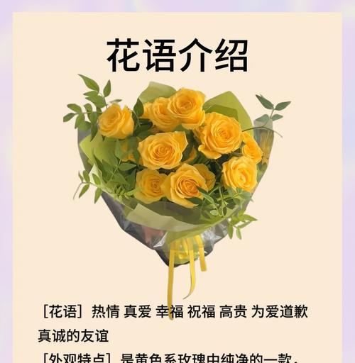四只黄玫瑰的花语是什么？它们共同传递了什么信息？