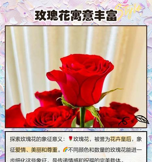 血红色花的花语是什么？它通常象征着什么？