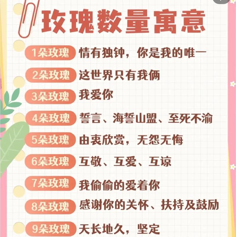 数字50在花语中代表什么含义？
