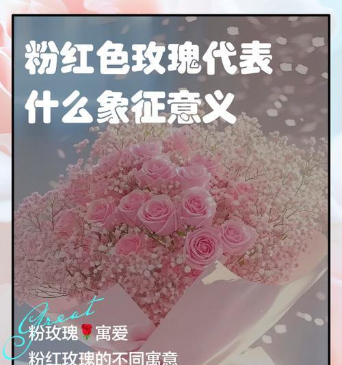 粉玫瑰花语是什么？送粉玫瑰代表什么意义？