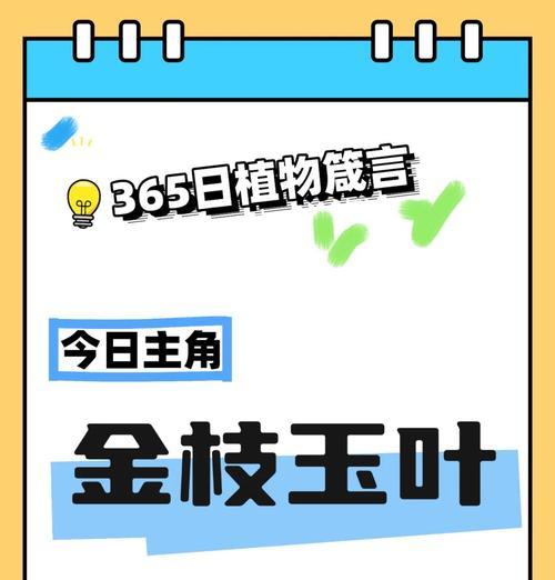 金枝玉叶象花语是什么？金枝玉叶象代表了什么？