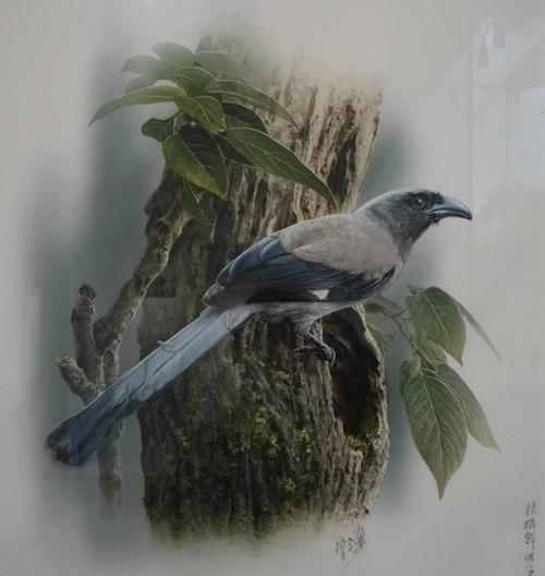 一花一鸟花语是什么？一花一鸟象征着什么？