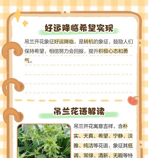 红宝石吊兰花语是什么？红宝石吊兰代表了什么？