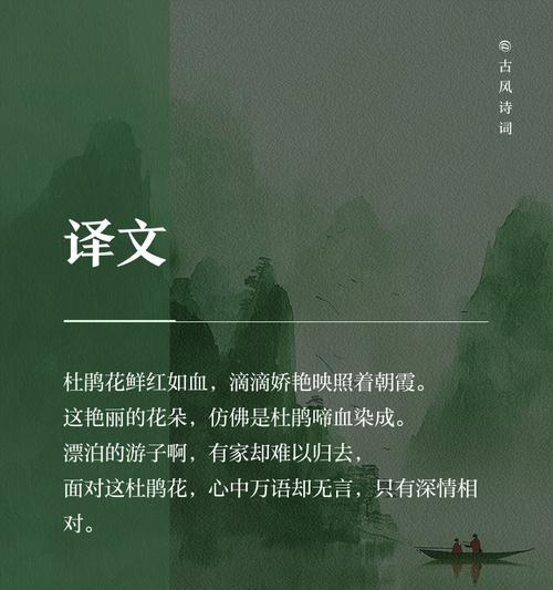 杜鹃花代表什么？如何用杜鹃花传递情感？