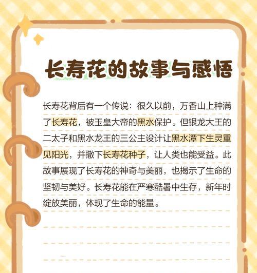 报春花对长辈有何寓意？如何表达孝心？