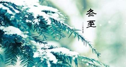 白脉椒草的花语是什么？它有什么特别含义？