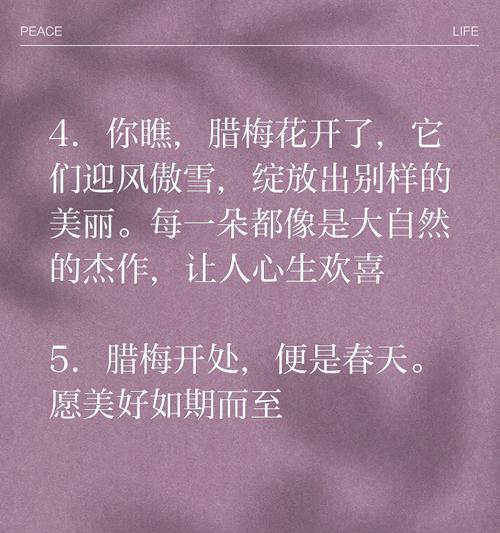 腊梅花在朋友圈中代表什么？如何用腊梅花表达心情？