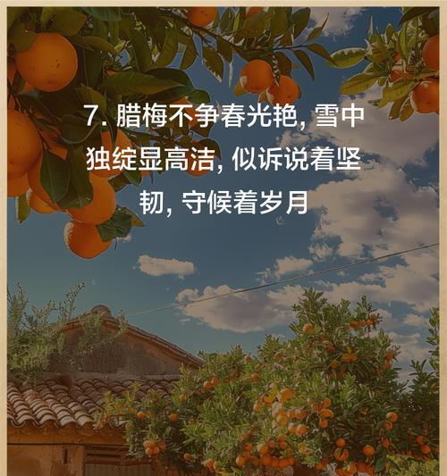 腊梅花在朋友圈中代表什么？如何用腊梅花表达心情？