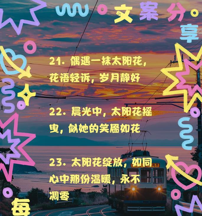 向日葵的负面花语是什么？它在什么情况下不宜赠送？
