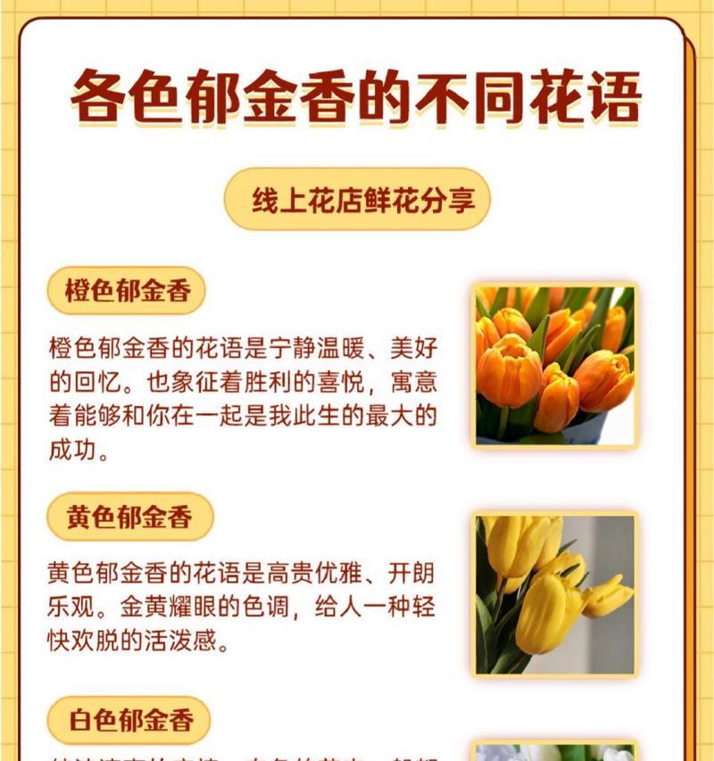 粉黄郁金香的花语代表什么？